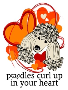 poodles curl up in your heart
